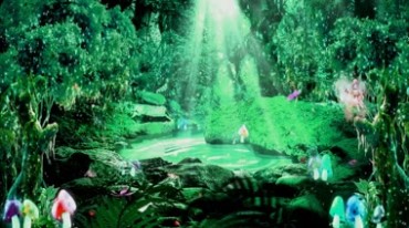 绿色森林太阳光照射进池塘蝴蝶飞舞视频素材