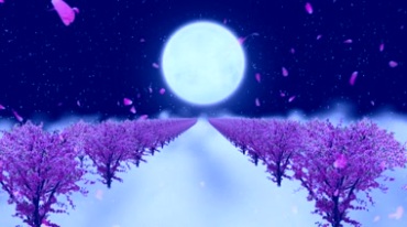 月亮之下的大片桃花树视频素材