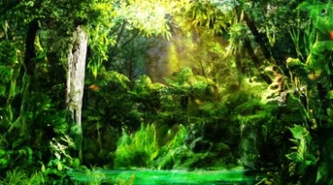 唯美森林绿色树林深处视频素材