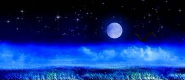 夜空月光下田野粒子精灵萤火虫视频素材