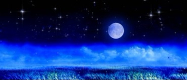 夜空月光下田野粒子精灵萤火虫视频素材