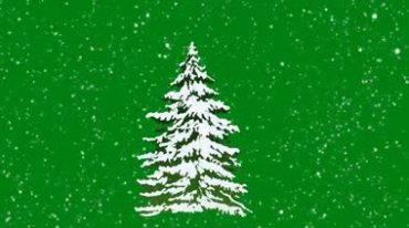圣诞树雪花飘雪落雪积雪绿屏后期抠像视频素材