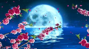 中秋团圆夜海上大月亮桃花花瓣视频素材