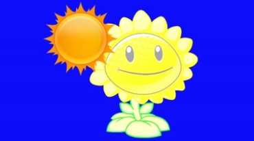 太阳花向日葵花笑脸蓝屏后期抠像视频素材