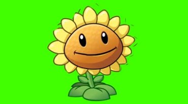 向日葵太阳花植物大战僵尸游戏绿幕抠像视频素材