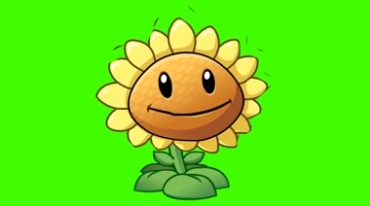 向日葵太阳花植物大战僵尸游戏绿幕抠像视频素材