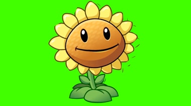 向日葵太阳花植物大战僵尸游戏绿幕抠像