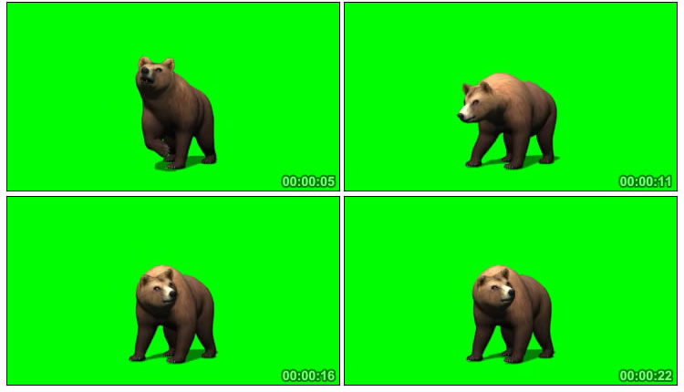 棕熊攻击绿屏后期抠像视频素材