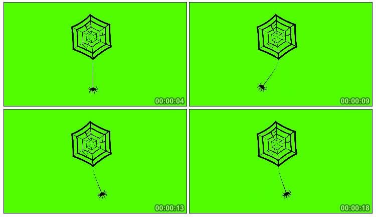蜘蛛织网蜘蛛网绿屏后期抠像视频素材