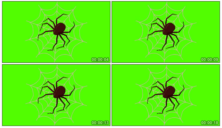 大蜘蛛织网绿屏后期抠像视频素材