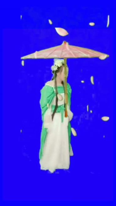 古装美女雨伞花瓣飘落抠像特效视频素材