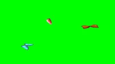 几只蝴蝶空中飞舞绿屏后期抠像视频素材