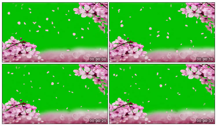 桃花粉色花瓣飘落绿屏后期抠像视频素材