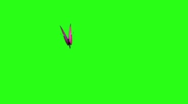 红色蝴蝶飞舞绿屏后期抠像视频素材