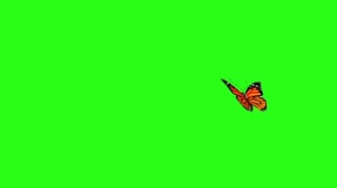 一只花蝴蝶飞舞绿屏后期抠像视频素材