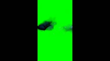 魔幻黑化蝴蝶飞舞绿屏后期抠像视频素材