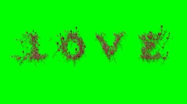 爱心玫瑰LOVE字体发散效果绿幕抠像视频素材