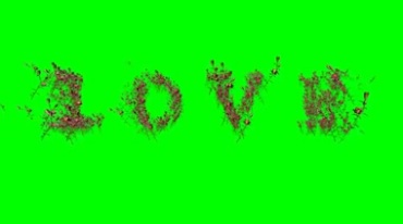 爱心玫瑰LOVE字体发散效果绿幕抠像视频素材