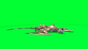 飞龙翼龙恐龙绿屏抠像特效视频素材