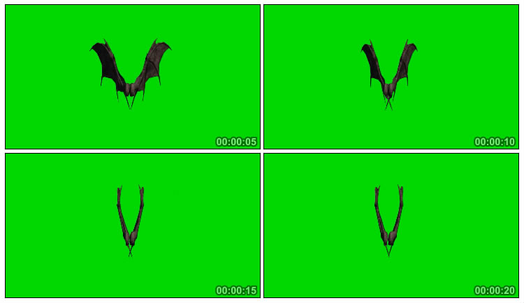 吸血鬼蝙蝠翅膀扇动绿屏抠像视频素材