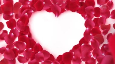玫瑰花瓣摆成爱心形状浪漫爱情后期抠像特效视频素材