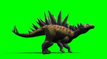 剑龙恐龙走路绿屏后期抠像视频素材