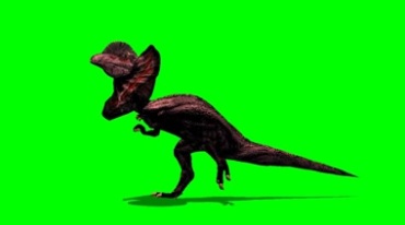 招风耳猛禽小恐龙奔跑绿屏动物抠像特效视频素材