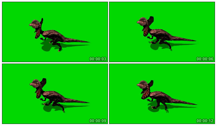 伞蜥龙蜥蜴奔跑绿屏特效视频素材