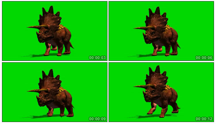 恐龙三角龙奔跑正面摄影绿屏特效视频素材