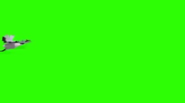 一行仙鹤飞行绿屏抠像特效视频素材