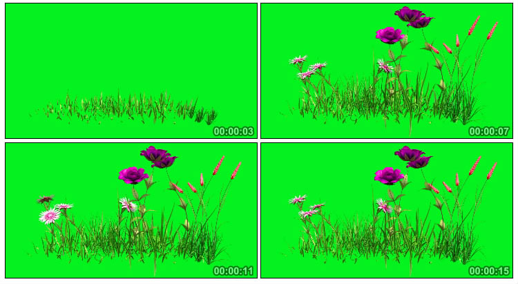 花草快速生长万物复苏绿屏抠像特效视频素材