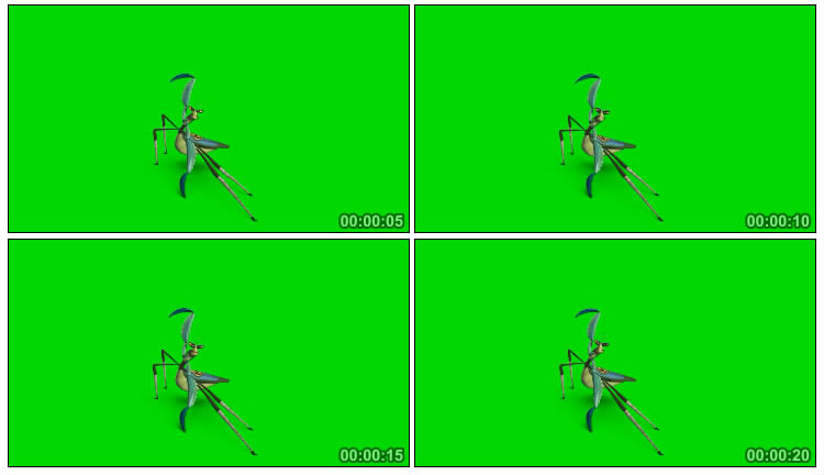 功夫熊猫螳螂绿屏抠像特效视频素材