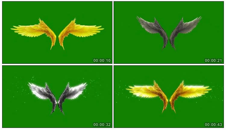 美丽的翅膀组合绿屏抠像特效视频素材