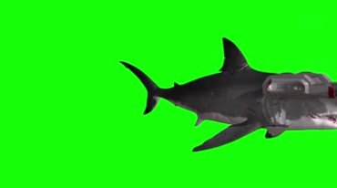 激光器激光枪鲨鱼战士绿屏后期抠像视频素材
