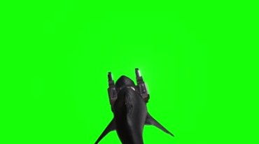 激光器激光枪鲨鱼战士绿屏后期抠像视频素材