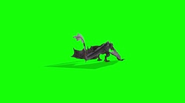飞龙翼龙飞兽绿布抠像特效视频素材