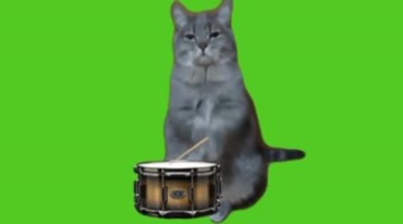 猫咪打鼓敲鼓绿幕后期特效视频素材