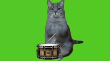 猫咪打鼓敲鼓绿幕后期特效视频素材