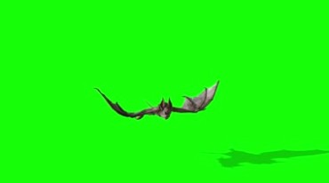 白色蝙蝠飞行翅膀绿幕抠像特效视频素材