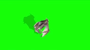 白色蝙蝠飞行翅膀绿幕抠像特效视频素材