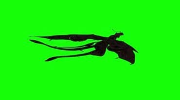 鸟怪飞兽绿屏抠像特效视频素材