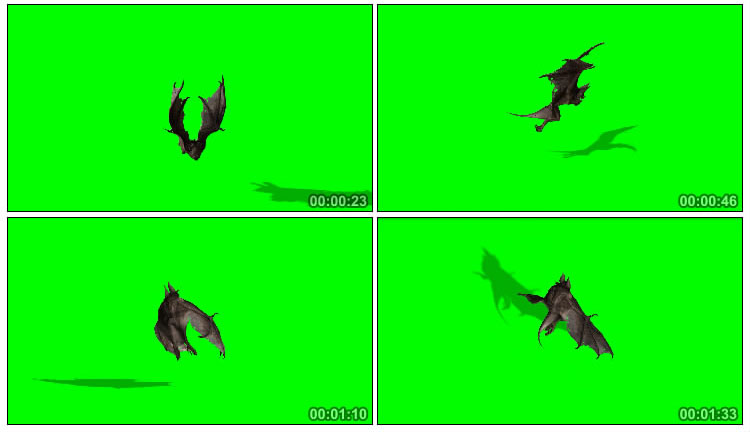 大蝙蝠飞行姿态绿屏后期抠像特效视频素材