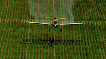 农用飞机喷洒农药