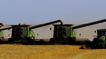 农业机械化收割稻谷