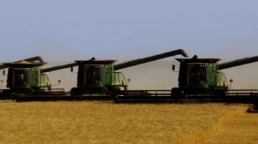 农业机械化收割稻谷