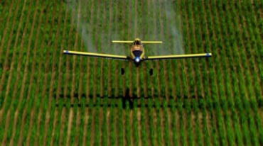 小飞机喷洒农药