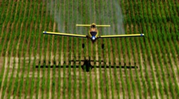 小飞机喷洒农药
