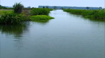 庄稼地小河