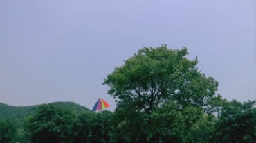公园亲子活动春游放风筝