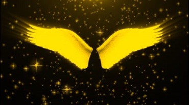 天使金色翅膀